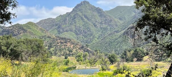 Girl Scouts Love State Parks - Malibu Creek (All)