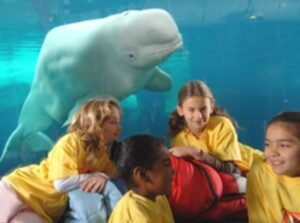 Sea World Sleepover (B,J,C,S,A)