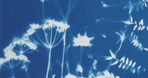 Environmental Imprints (DBJCSA)