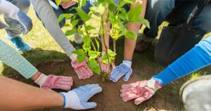 Arbor Day Fun Patch (DBJCSA)