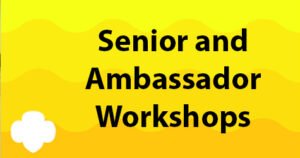 Senior and Ambassador Workshops