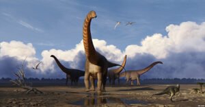 Dino Discovery (DBJCSA)