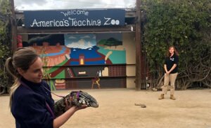 Moorpark Teaching Zoo (DBJCSA)