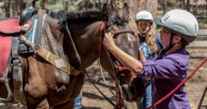Equine Odyssey (CSA)