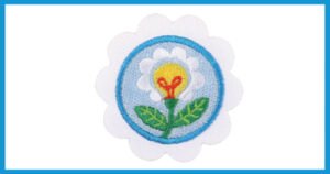 Earn the Toy Business Designer Badge (D)