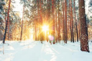 Winter Solstice Celebration (All)
